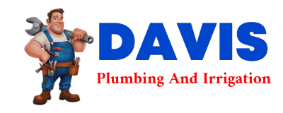 Trusted plumber in LEEDEY